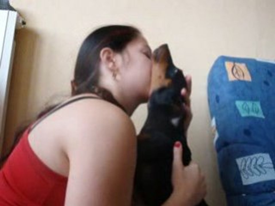 Dina pinscher 7mois...Et amour fou!