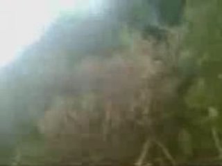 incendie à la foret de Guenzet