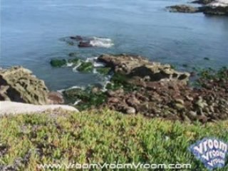 La Jolla City Places of Interest