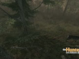 theHunter - Mule Deer Introduction