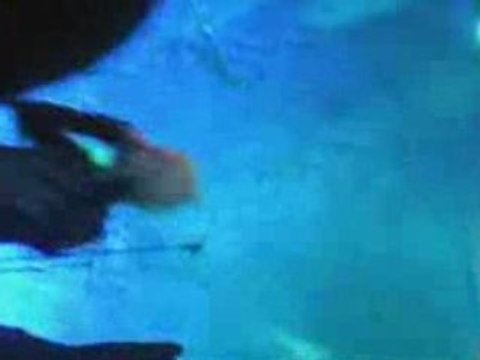 tHe Rasmus Milano 2009 Alcatraz!!! 7-02-09 !!!!!