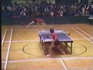 Amazing ping pong match