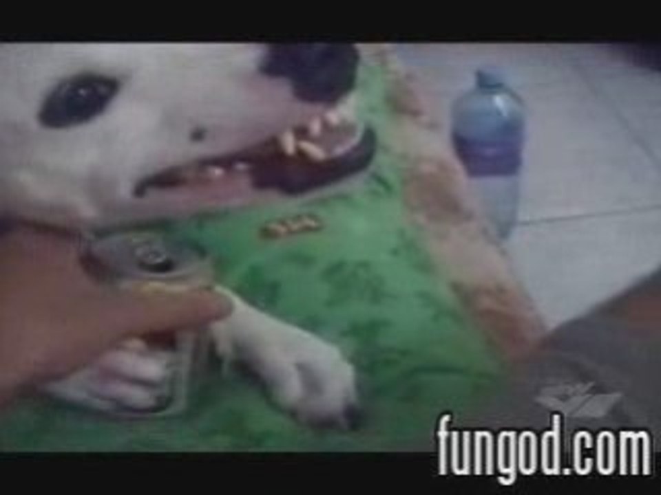 A cerveja é minha