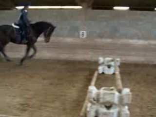 love-bisounours27 séance 25/01/09 quito galop