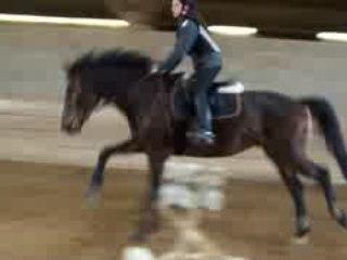 love-bisounours27 séance 25/01/09 quito croix