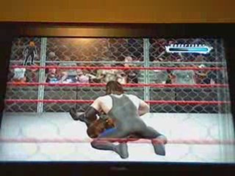 Hell in a Cell Match - The Truth