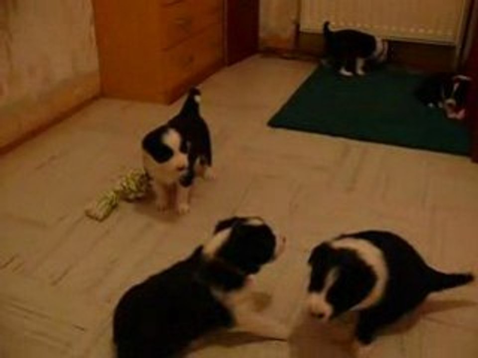 Moment de jeu 3