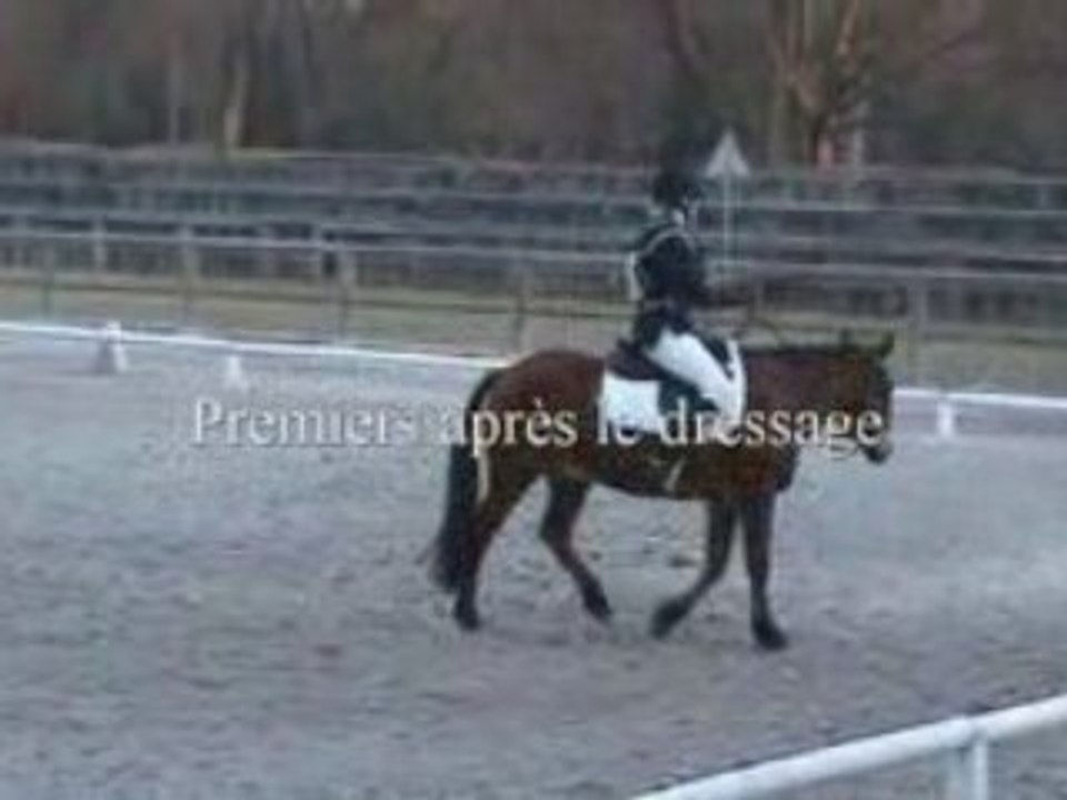 Lancelot ACBB
