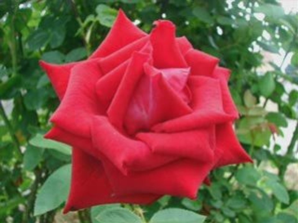 Kemalettin doğaner annem parçası www.ditib-espelkamp.com