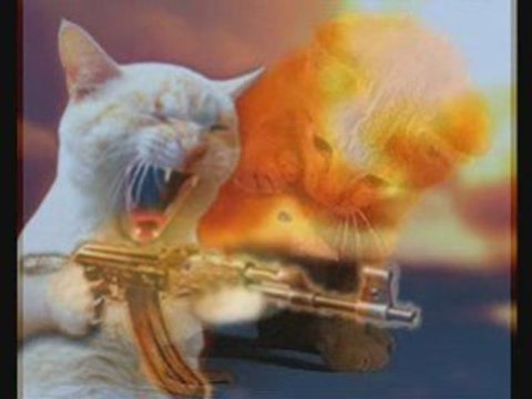 adem aydas Dıv dıv