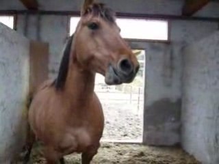 Mercredi 2 : Événements et actualités