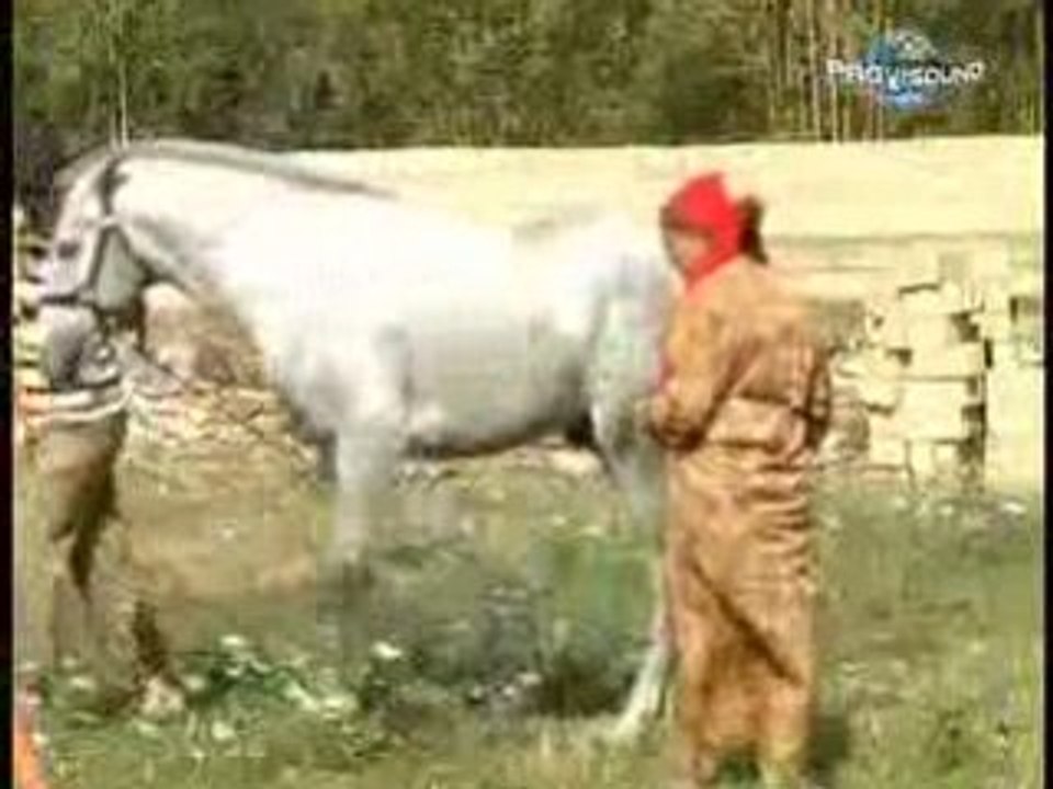 Basma4.com-5-chab-wahid-cheb-wa7id-chaabi-cha3bi