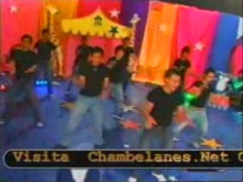 Chambelanes Arlequin