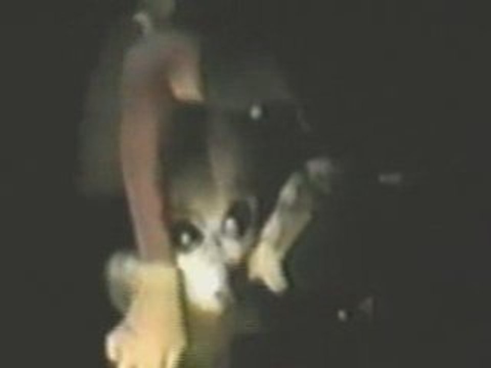 LONDONTV_Paranormal_TV_-_Alien_Interview_Video