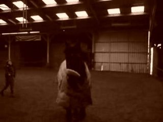 Xéna la jolie frisonne - sortie en piste