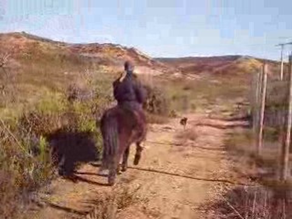 Ptit trot du matin