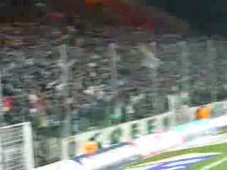 magic fans et green angels