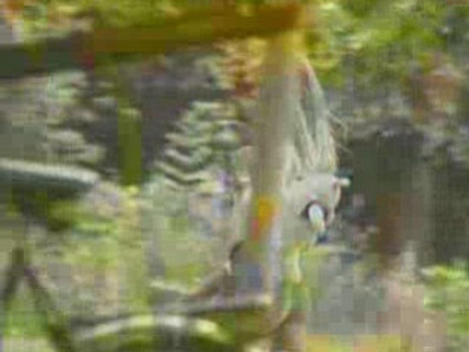 Oferta Billetes Avion y Vuelos de Quito