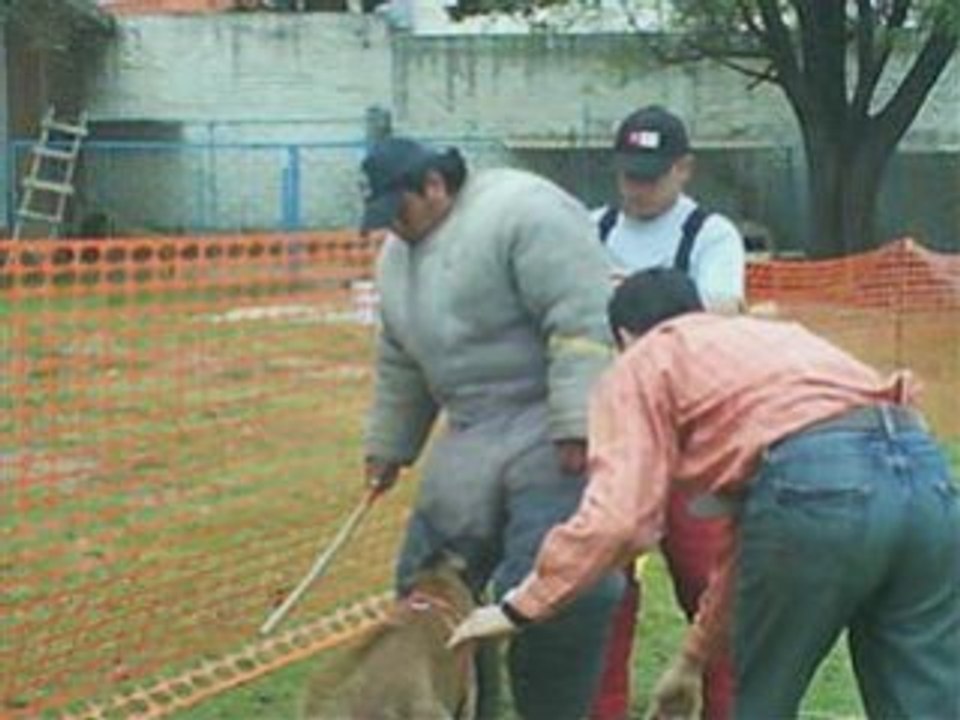 Diaporama du séminaire au Mexique