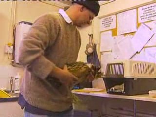 Cambridgeshire Nature Site Gains SSSI Status 🐦