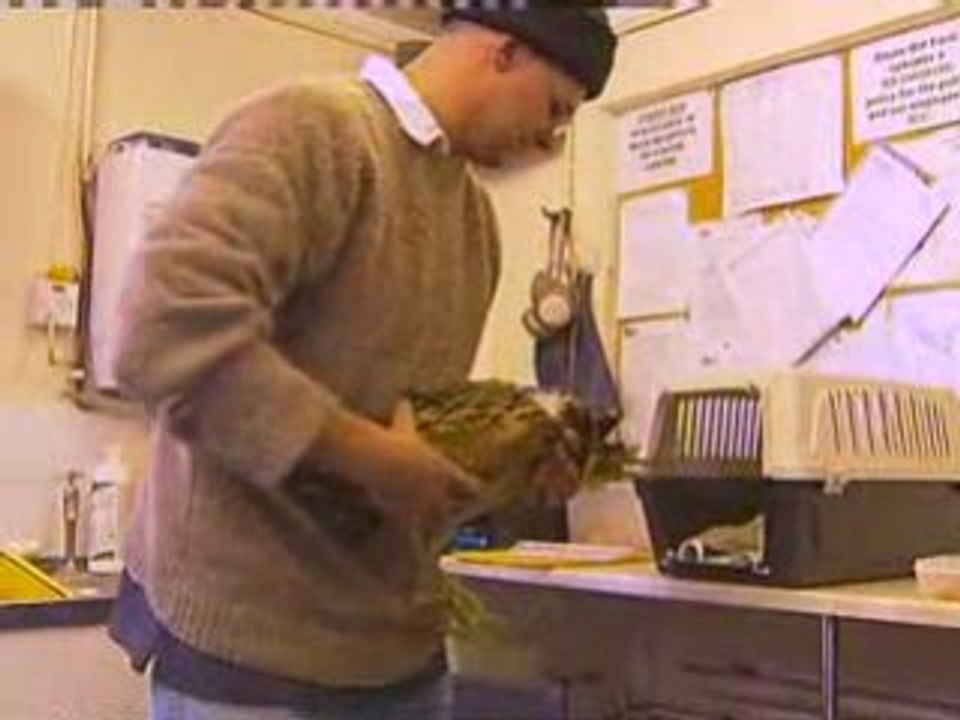 Bird conservation