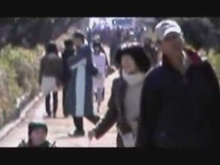 immi クラクション PV