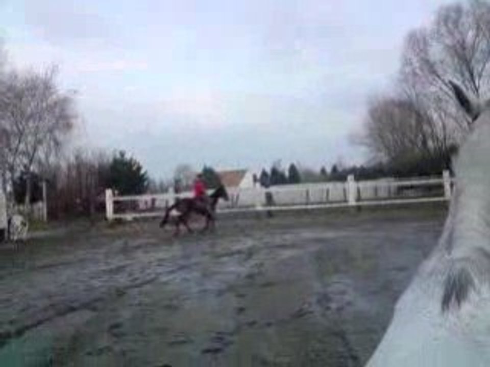 Richesse au galop