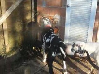 après midi chez corinne avec Brigitte