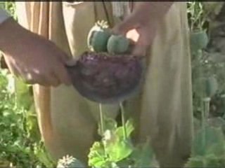 UK kids top European tables for cannabis abuse