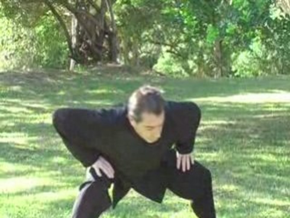 QI GONG "Les 8 brocarts de soie 01"
