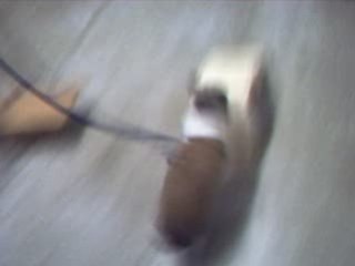 Danette sur un parcours le 18 février