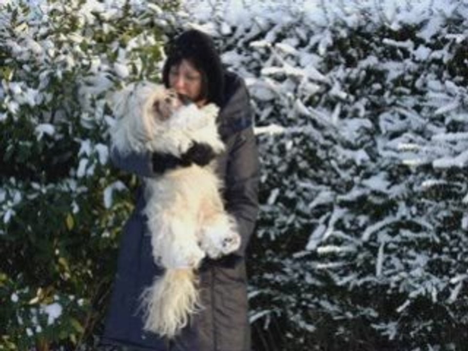 Youyou dans la neige de février 2009