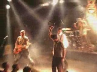 Washington dead cats - napalm surf