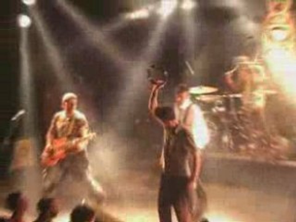 Washington dead cats - napalm surf