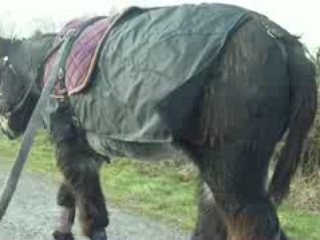 martin pérou en guides 01/02/09