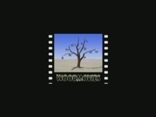 Wood movies 4 adrian chicouard et loic durand