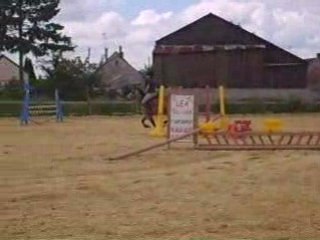 Concour de CSO avec Lemon