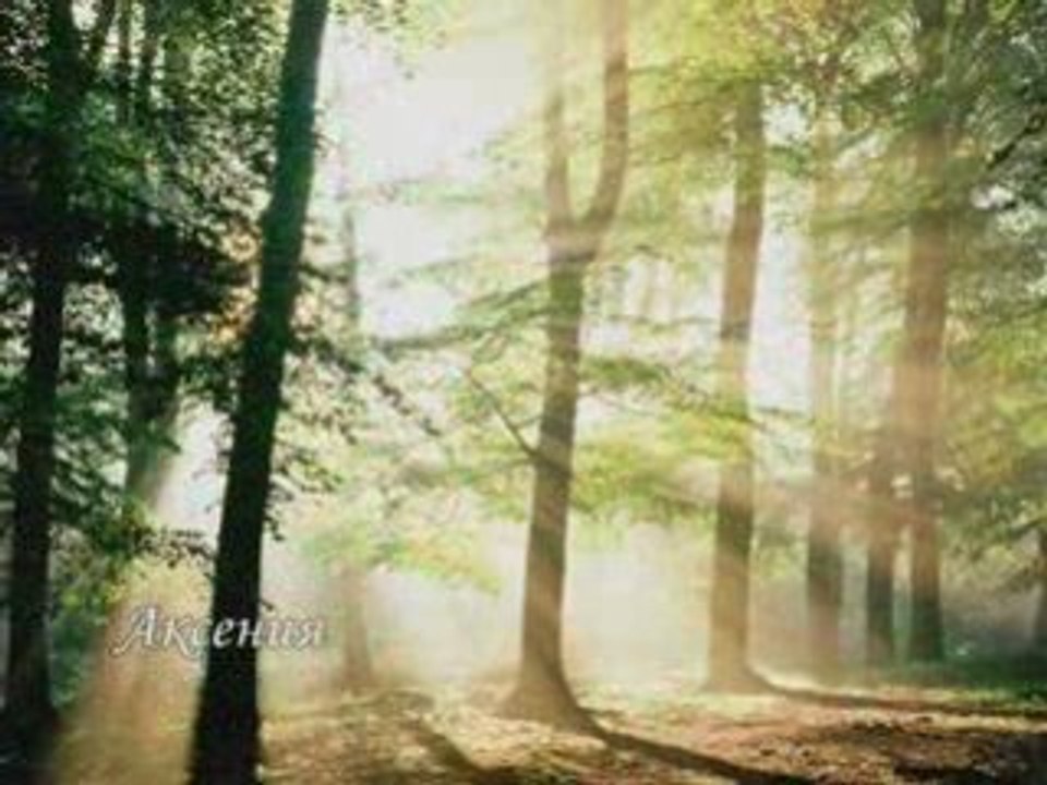 ЗАКЪСНЯЛА ЛЮБОВ - Ваня Костова