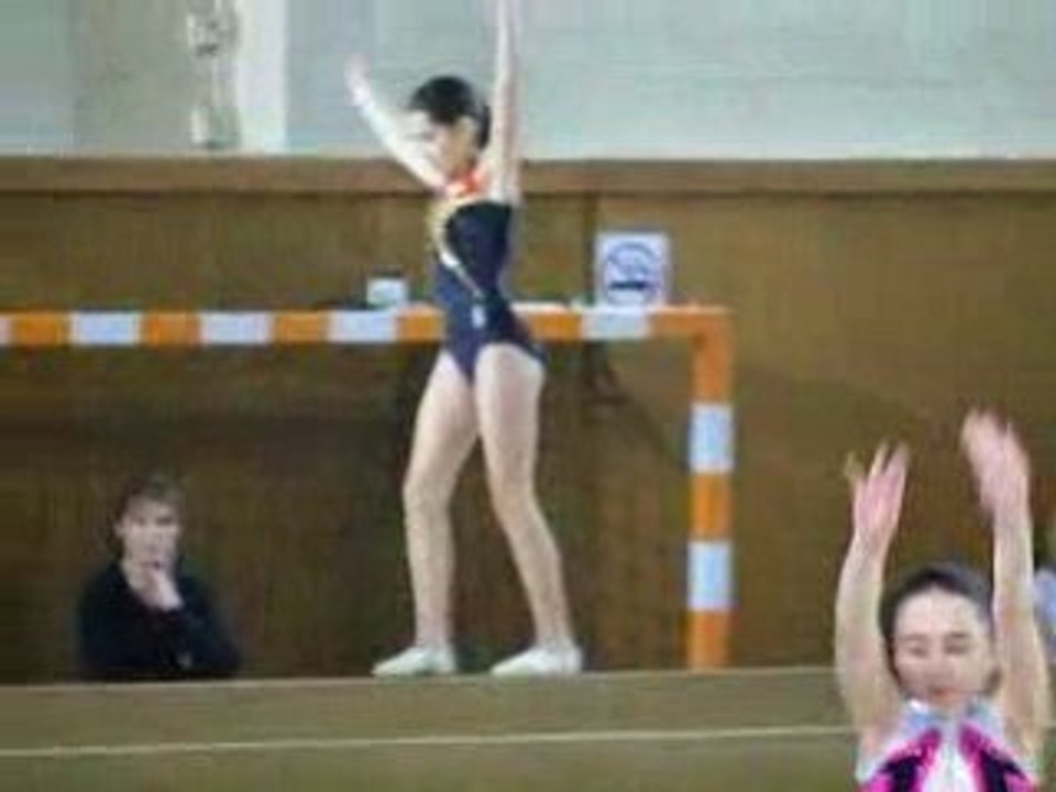 gym poutre