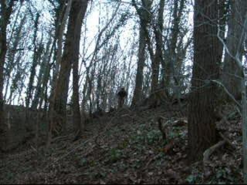 Film vtt 2