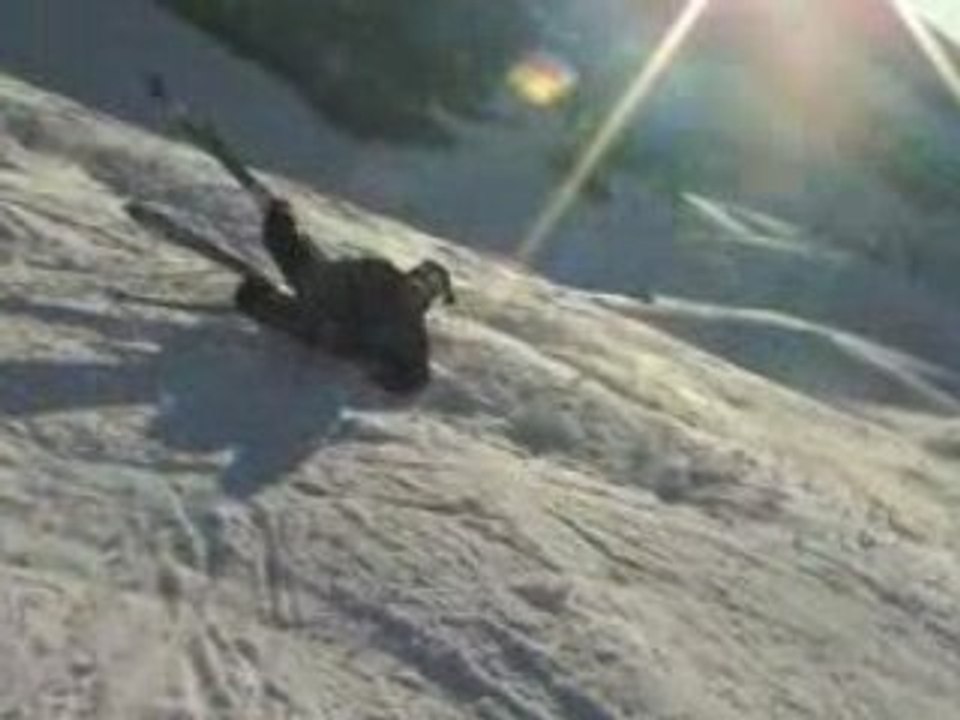 Les Zozos font des sauts