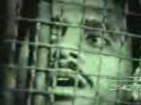 İHVAN-I MÜSLİMİN