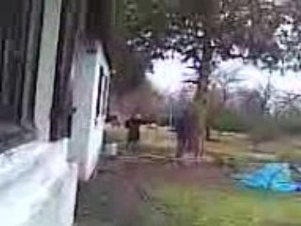 Vidéo