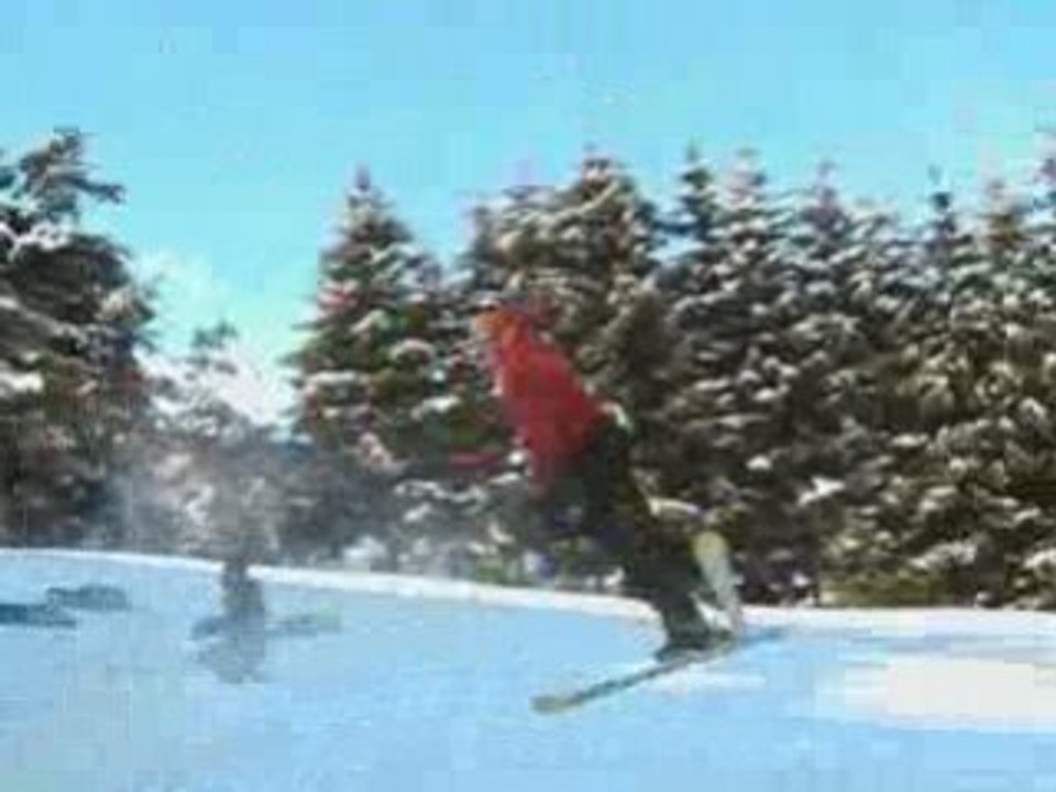 Session bessat final 2009