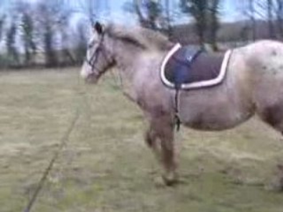 Kassio en longe