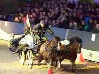 Ermelo Stallion Show 2009 attelage