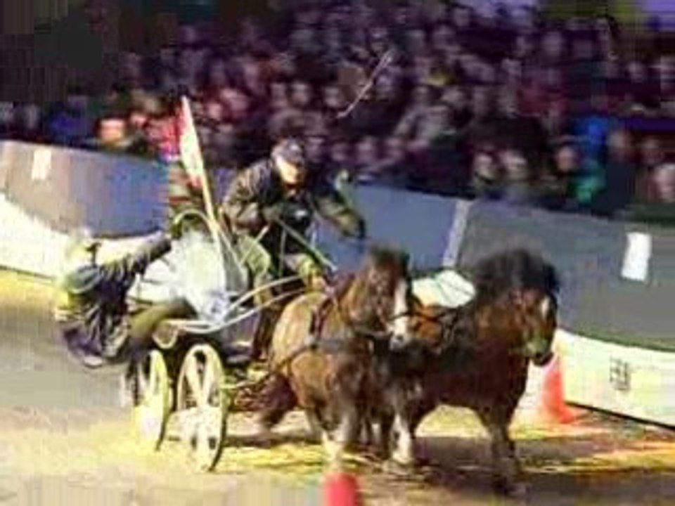 Ermelo Stallion Show 2009 attelage