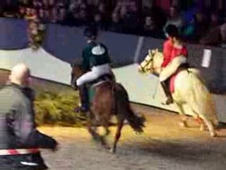 Ermelo Stallion Show 2009 course poney indoor