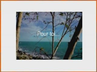 OUI..L'envol vers le Sud