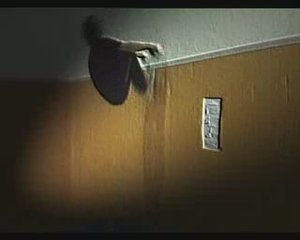 Acrobacias Luis Buñuel 2